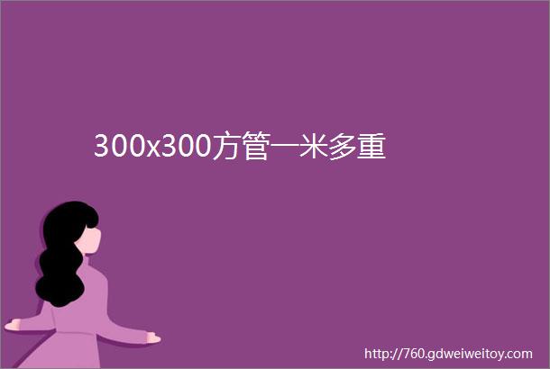 300x300方管一米多重